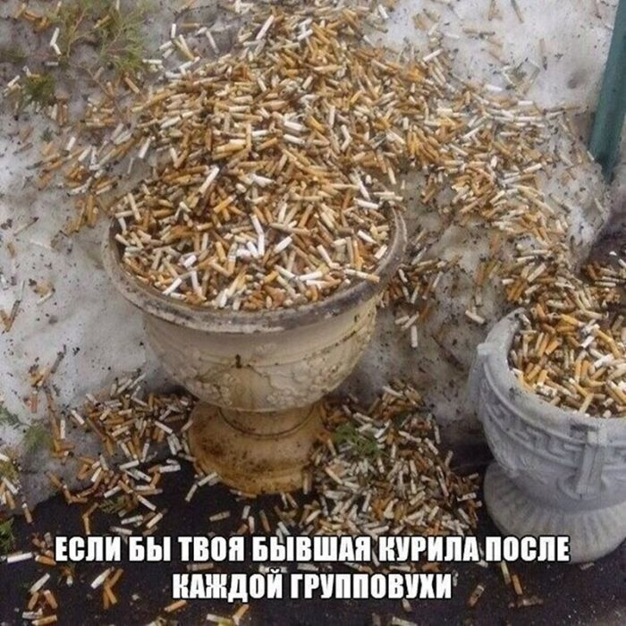 Черная жемчужина юмора: острые шутки для взрослых