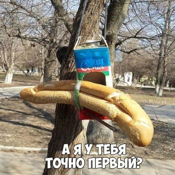 Черная жемчужина юмора: острые шутки для взрослых