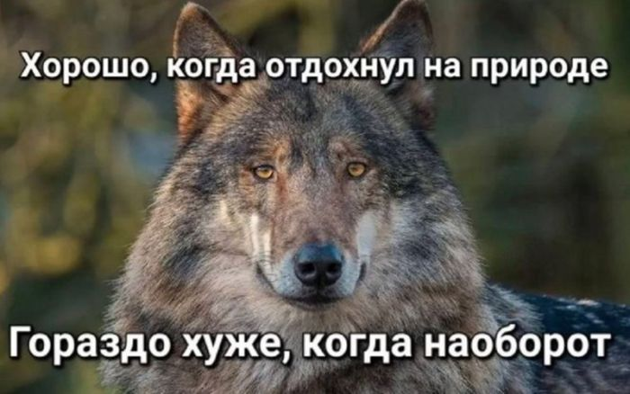 Зовем всех, кто готов посмеяться над темным!