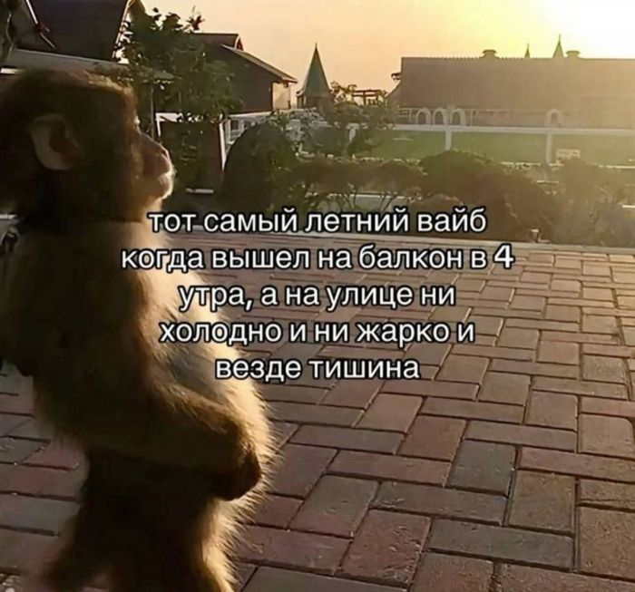 Зовем всех, кто готов посмеяться над темным!