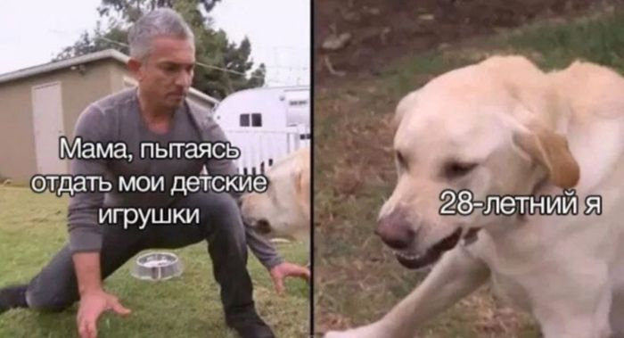 Шедевры черного юмора для ценителей жизни (и мемов)!