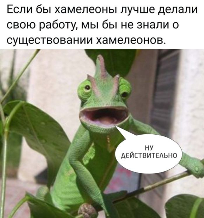 Шедевры черного юмора для ценителей жизни (и мемов)!