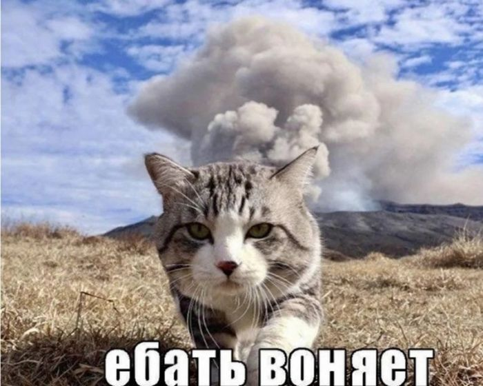 Шокирующий юмор: Черные шутки и аморальные приколы для взрослых