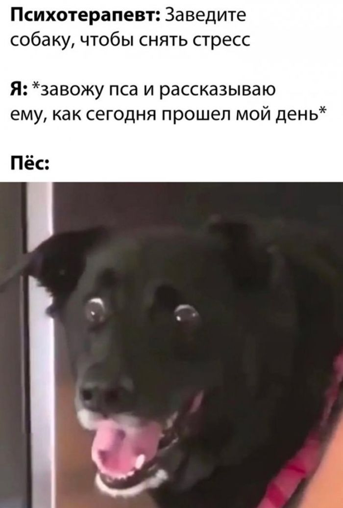 Шокирующий юмор: Черные шутки и аморальные приколы для взрослых