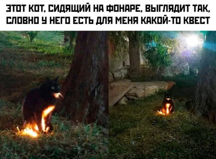 Шокирующий юмор: Черные шутки и аморальные приколы для взрослых
