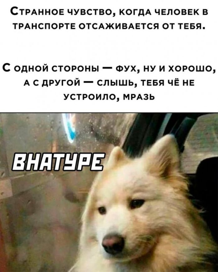 Шокирующий юмор: Черные шутки и аморальные приколы для взрослых