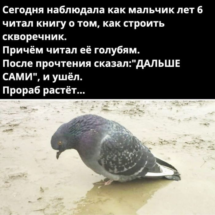 Шокирующий юмор: Черные шутки и аморальные приколы для взрослых