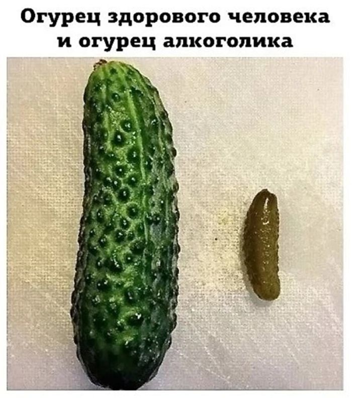 Шокирующий юмор: Черные шутки и аморальные приколы для взрослых