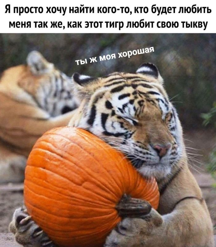 Шокирующий юмор: Черные шутки и аморальные приколы для взрослых