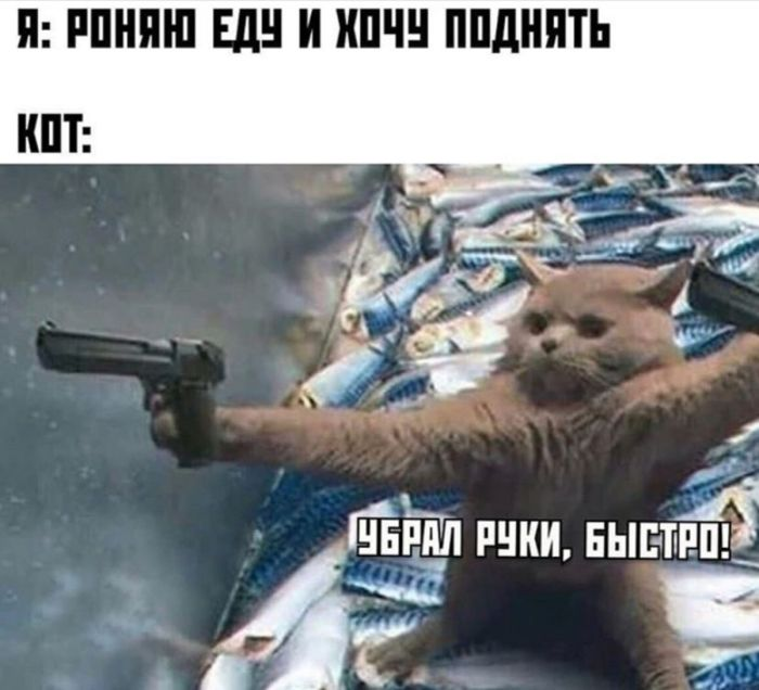 Шокирующий юмор: Черные шутки и аморальные приколы для взрослых