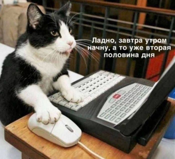 Шокирующий юмор: Черные шутки и аморальные приколы для взрослых