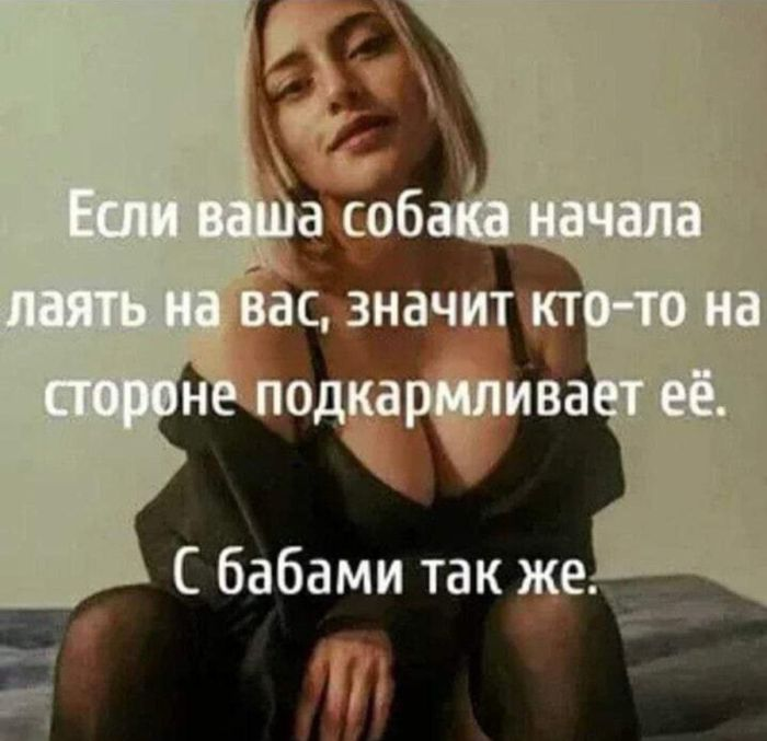 Отполированный до блеска черный юмор, который заставит вас хохотать до упаду (и, возможно, немного встрепенуться)