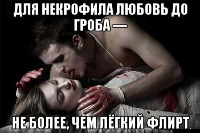 Отполированный до блеска черный юмор, который заставит вас хохотать до упаду (и, возможно, немного встрепенуться)