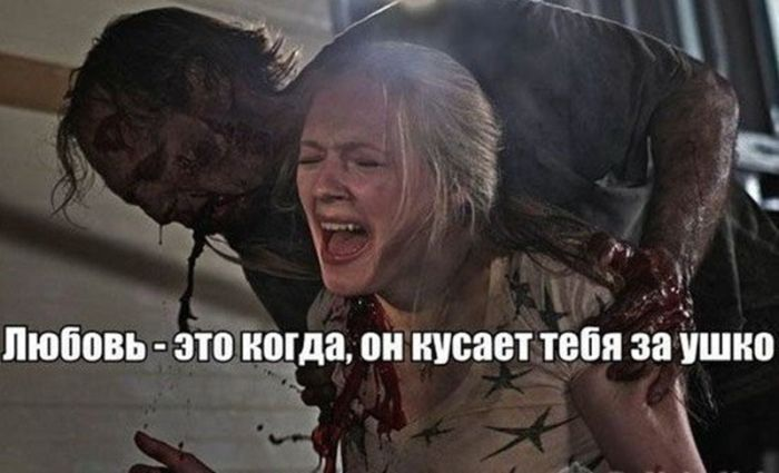 Отполированный до блеска черный юмор, который заставит вас хохотать до упаду (и, возможно, немного встрепенуться)