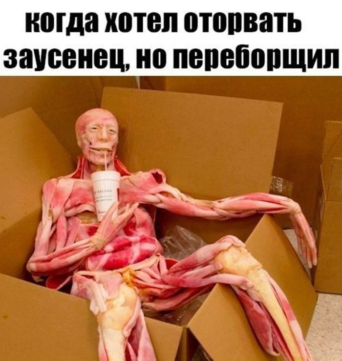Отполированный до блеска черный юмор, который заставит вас хохотать до упаду (и, возможно, немного встрепенуться)