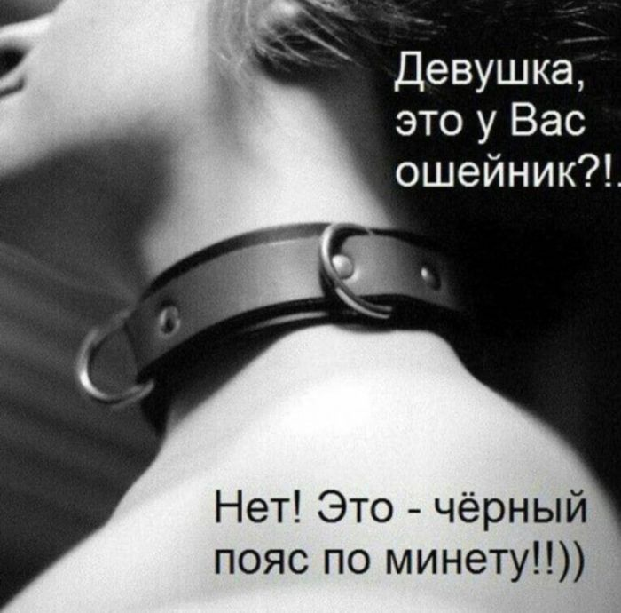 Отполированный до блеска черный юмор, который заставит вас хохотать до упаду (и, возможно, немного встрепенуться)