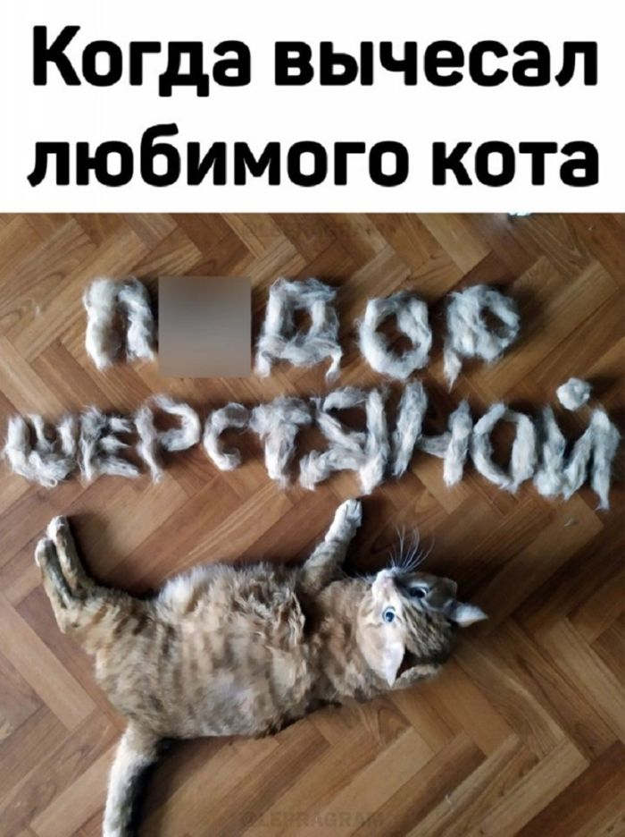 Отполированный до блеска черный юмор, который заставит вас хохотать до упаду (и, возможно, немного встрепенуться)