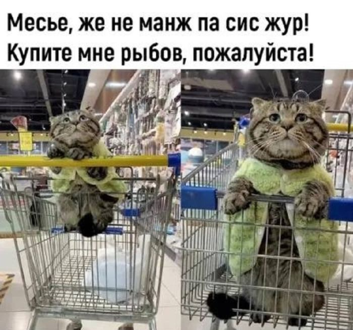 Отполированный до блеска черный юмор, который заставит вас хохотать до упаду (и, возможно, немного встрепенуться)