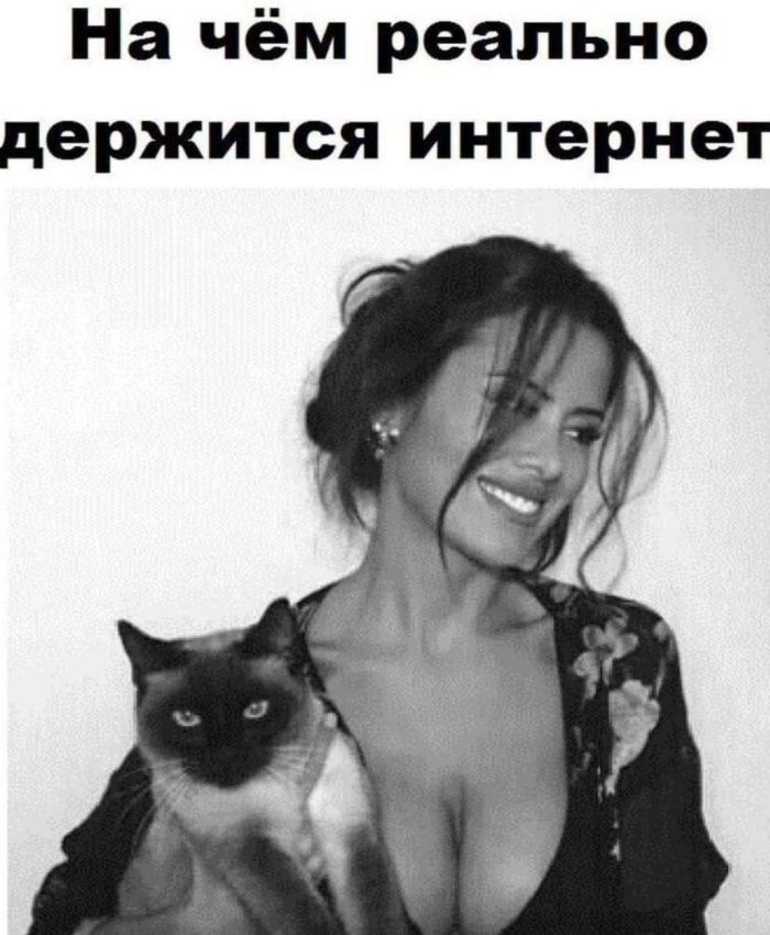Черный юмор для искушенных: отборные мемы для взрослых