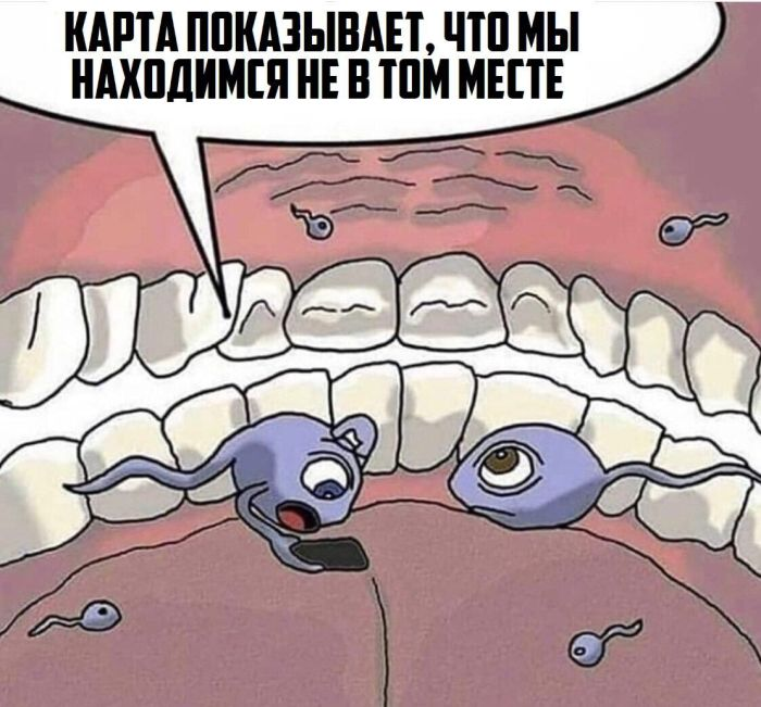 Черный юмор для искушенных: отборные мемы для взрослых