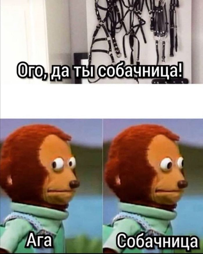 Черный юмор для искушенных: отборные мемы для взрослых