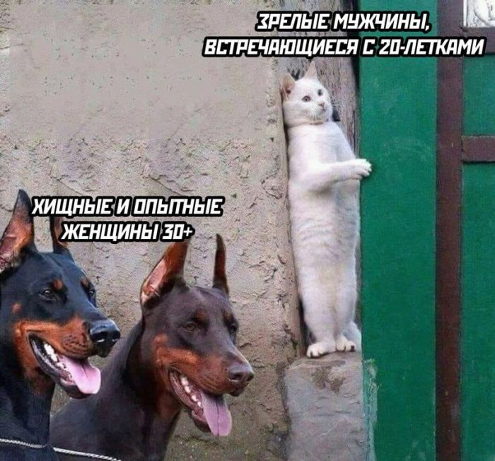 Черный юмор для искушенных: отборные мемы для взрослых