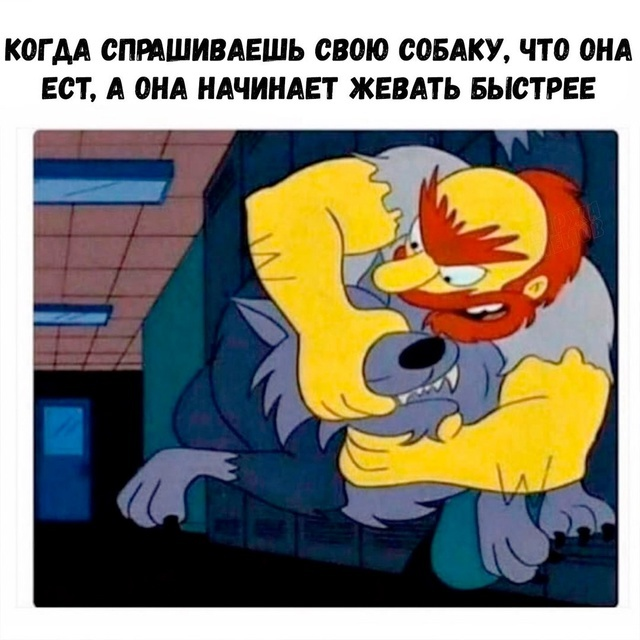 Утренний заряд радости: веселые картинки и мемы для поднятия настроения!