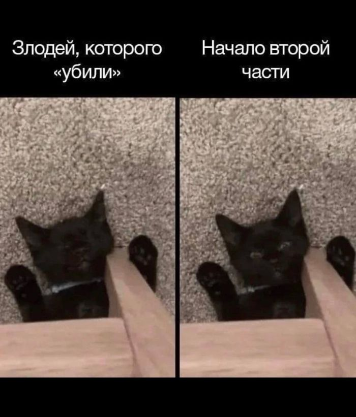 Утренний заряд радости: веселые картинки и мемы для поднятия настроения!