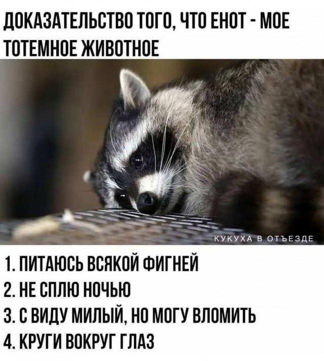 Утренний заряд радости: веселые картинки и мемы для поднятия настроения!