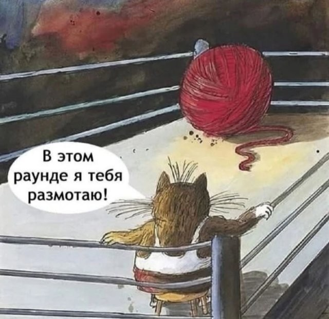 Утренний заряд радости: веселые картинки и мемы для поднятия настроения!