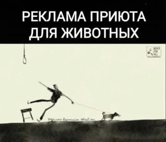 Утренний заряд радости: веселые картинки и мемы для поднятия настроения!