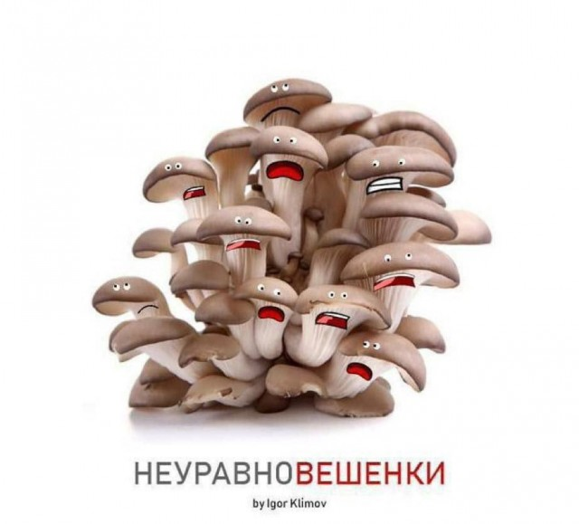 Утренний заряд радости: веселые картинки и мемы для поднятия настроения!