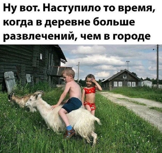 Утренний заряд радости: веселые картинки и мемы для поднятия настроения!