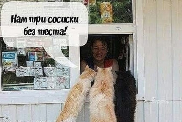 Утренний заряд радости: веселые картинки и мемы для поднятия настроения!