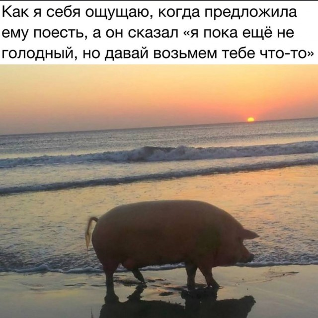 Утренний заряд радости: веселые картинки и мемы для поднятия настроения!