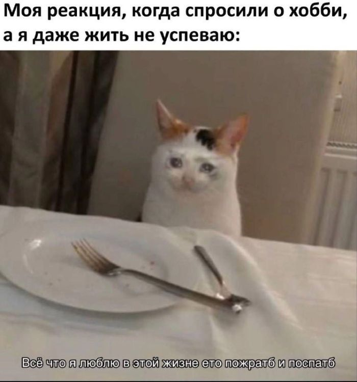 Доброе утро! Начнем день с улыбки и позитива