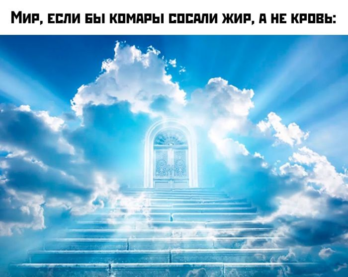 Доброе утро! Начнем день с улыбки и позитива