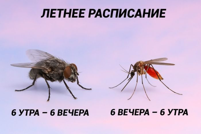 Доброе утро! Начнем день с улыбки и позитива