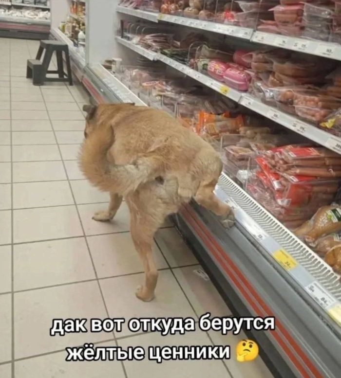 Доброе утро! Начнем день с улыбки и позитива