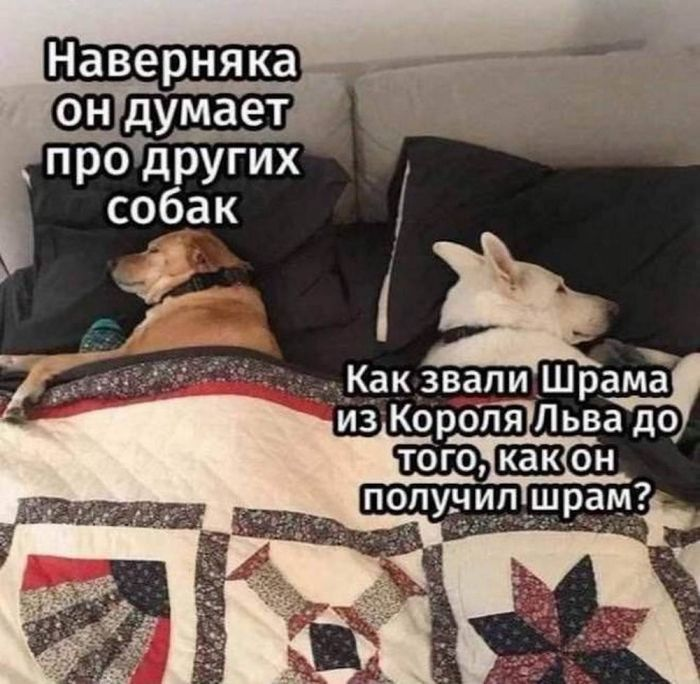 Доброе утро! Начнем день с улыбки и позитива