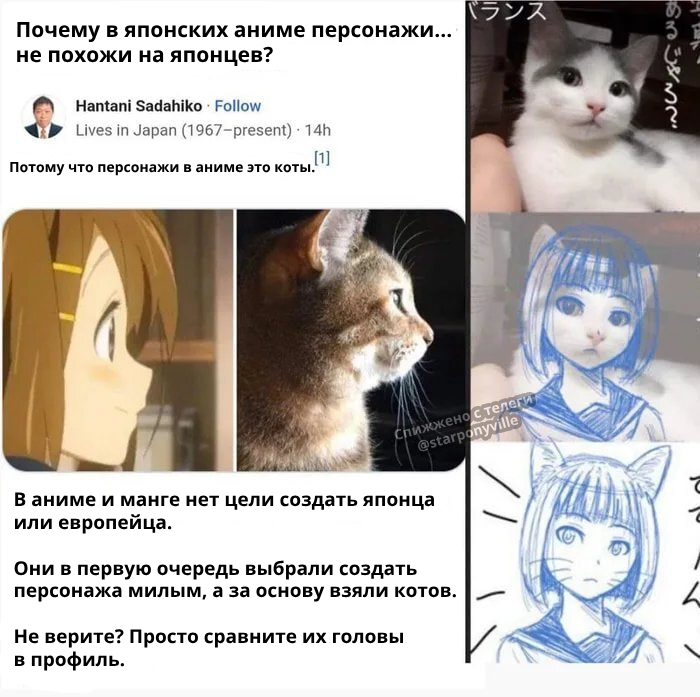 Жемчужины соцсетей: лучшие мемы, картинки и комментарии в одном месте