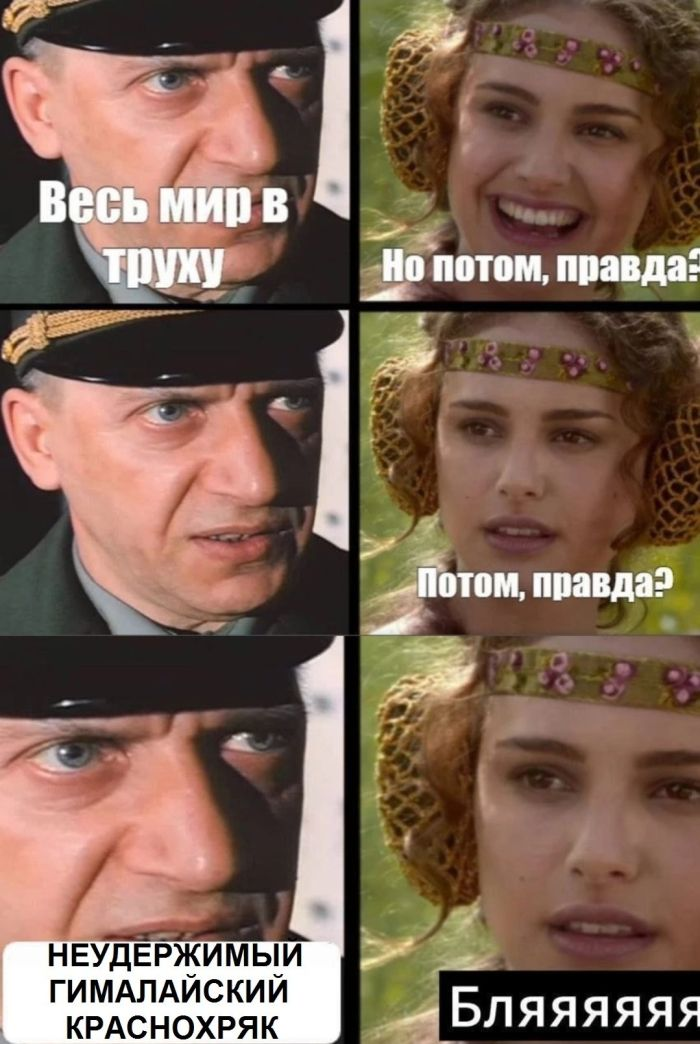 Жемчужины соцсетей: лучшие мемы, картинки и комментарии в одном месте