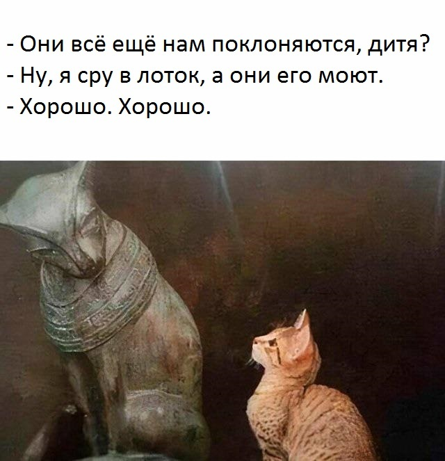 Маленькая пятница: встречайте взрыв позитива! 🚀