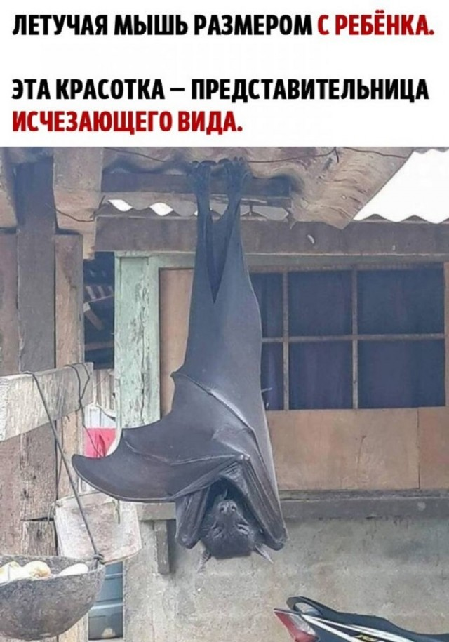 Маленькая пятница: встречайте взрыв позитива! 🚀