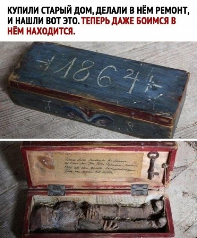 Маленькая пятница: встречайте взрыв позитива! 🚀