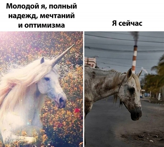 Маленькая пятница: встречайте взрыв позитива! 🚀