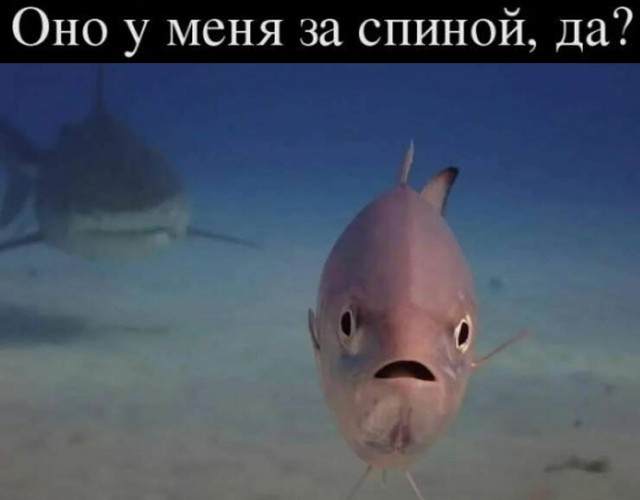 Маленькая пятница: встречайте взрыв позитива! 🚀