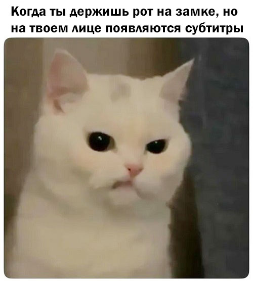 Маленькая пятница: встречайте взрыв позитива! 🚀