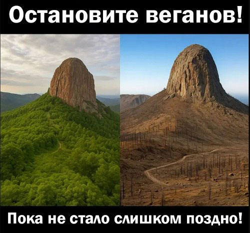 Маленькая пятница: встречайте взрыв позитива! 🚀