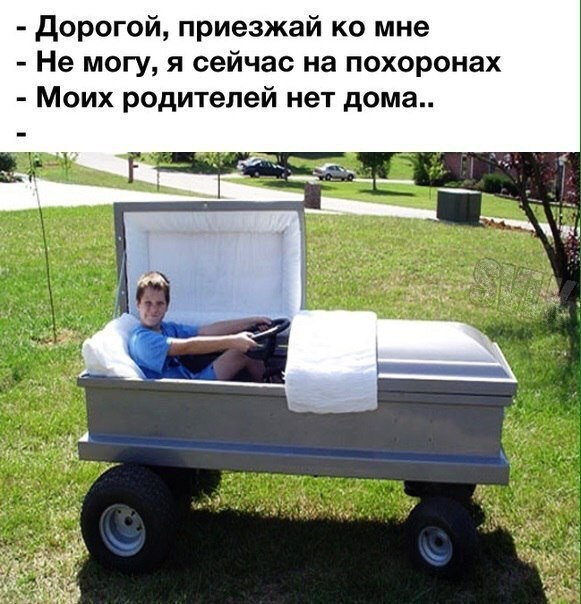 Поднимите настроение с нашим специально созданным контентом!
